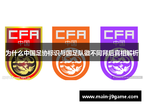 为什么中国足协标识与国足队徽不同背后真相解析