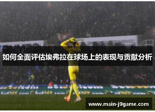 如何全面评估埃弗拉在球场上的表现与贡献分析