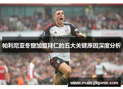 帕利尼亚冬窗加盟拜仁的五大关键原因深度分析