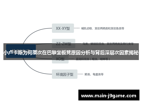 小卢卡斯为何屡次在巴黎坐板凳原因分析与背后深层次因素揭秘