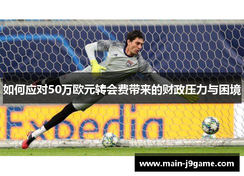如何应对50万欧元转会费带来的财政压力与困境 如何应对50万欧元转会费带来的财政压力与困境