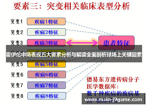 霍伊伦中场表现五大要素分析与解读全面剖析球场上关键因素 霍伊伦中场表现五大要素分析与解读全面剖析球场上关键因素